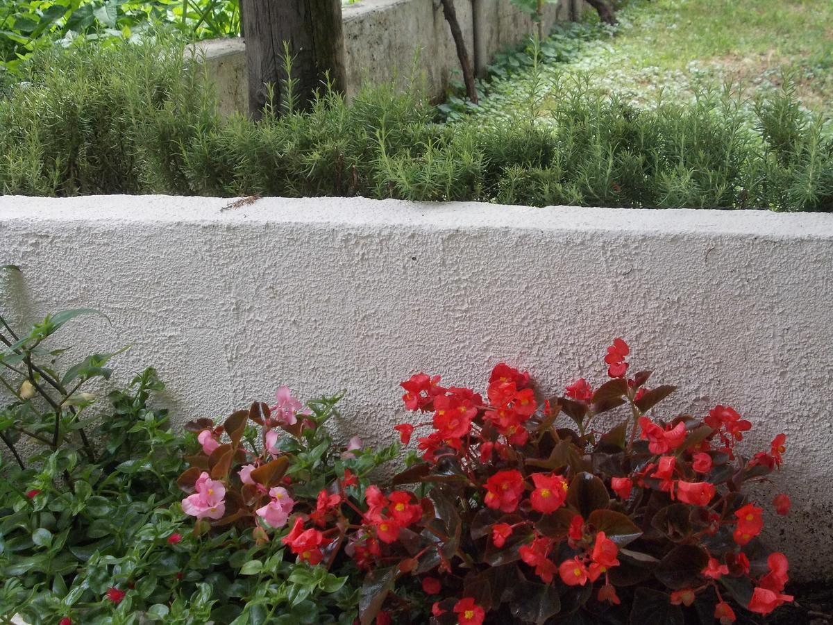 Apartment Jelaca Herceg Novi Ngoại thất bức ảnh